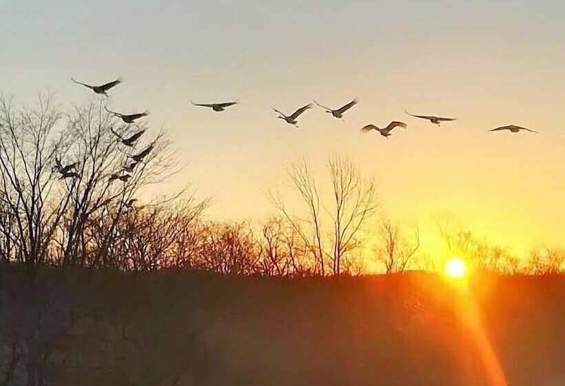 Pensão Heart N Tree