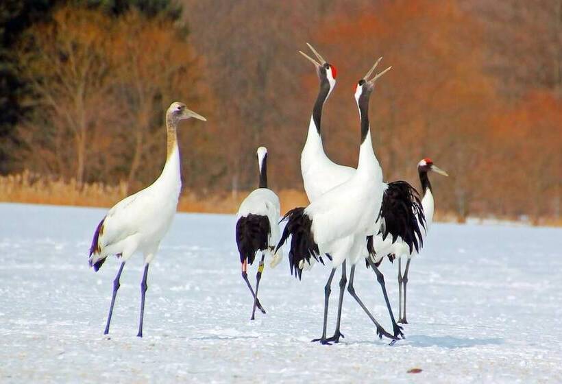 Pensão Heart N Tree