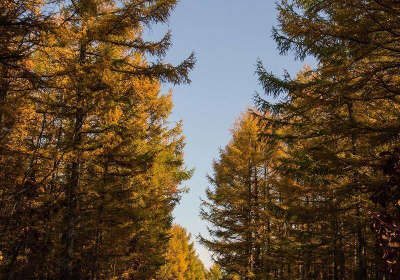 بنسيون Guesthouse Canterbury