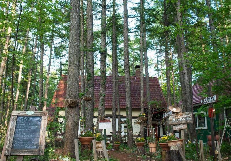 بنسيون Guesthouse Canterbury