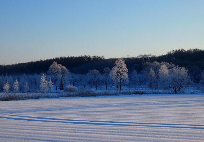 פנסיון Guesthouse Canterbury