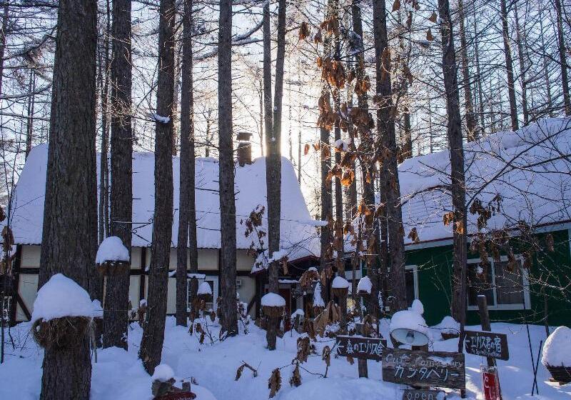 بنسيون Guesthouse Canterbury