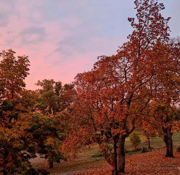 Пансион Joensuun Tilan Päärakennus