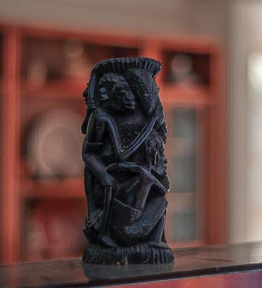 پانسیون L'arganier Solitaire