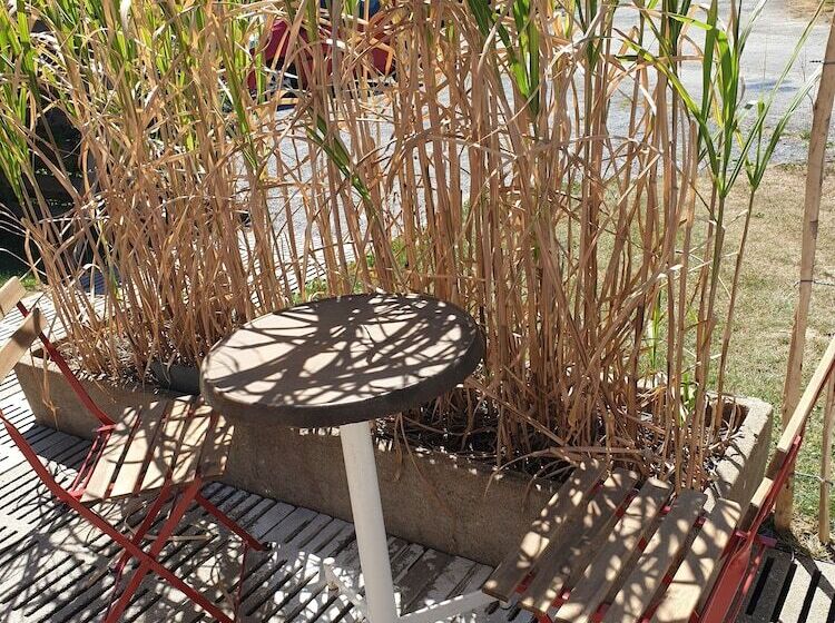 פנסיון Maison D Hotes La Clé Des Champs