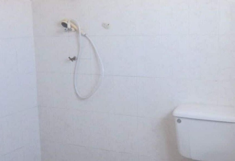 膳宿费 New Vision