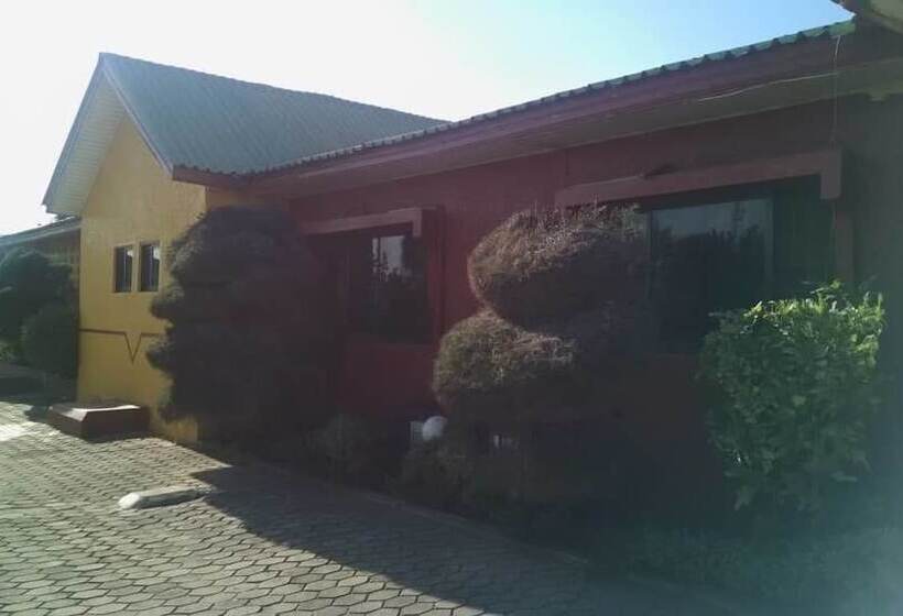 膳宿费 New Vision