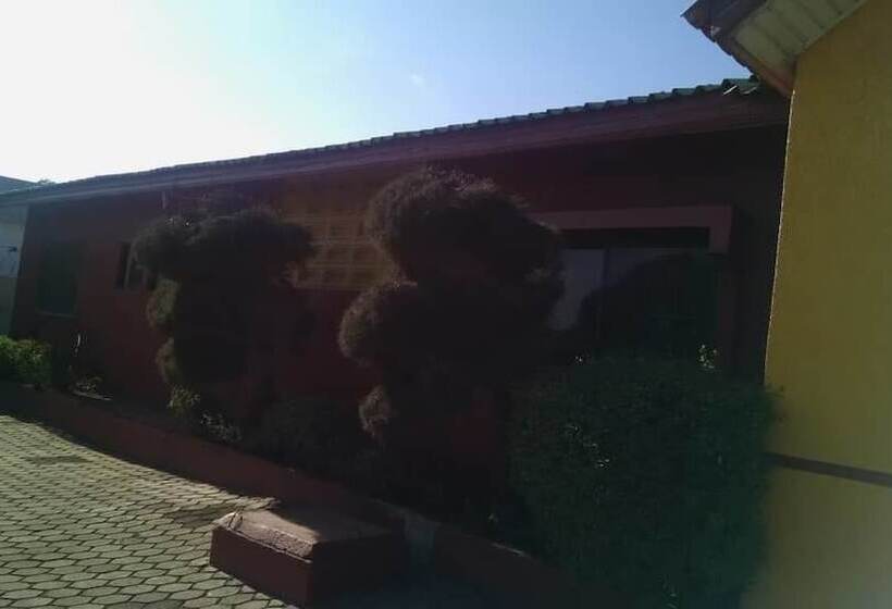 膳宿费 New Vision