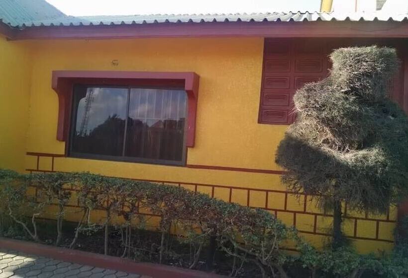 膳宿费 New Vision