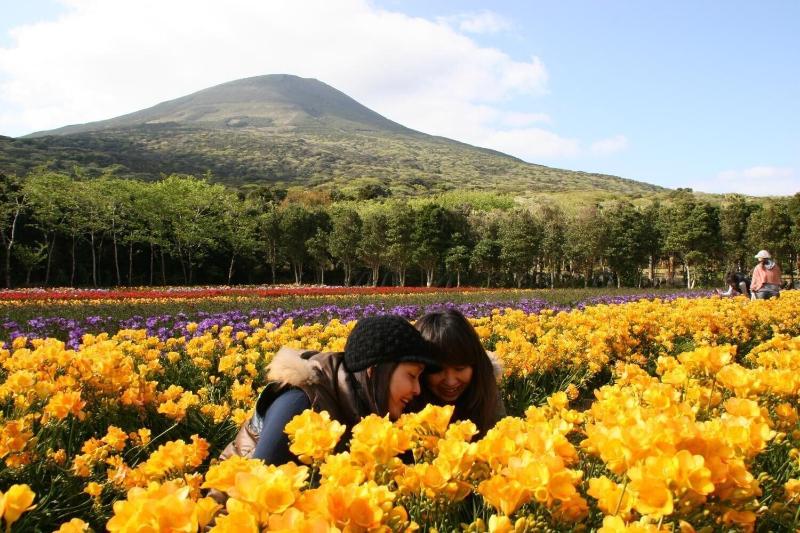 פנסיון Seadive Guest House