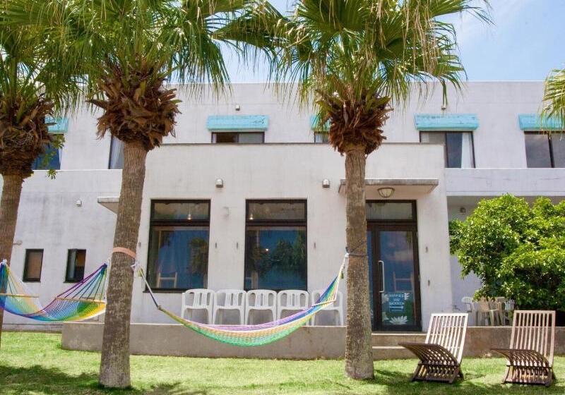 פנסיון Seadive Guest House