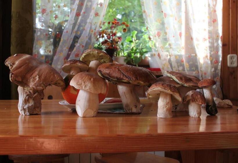 ペンション Uroczysko