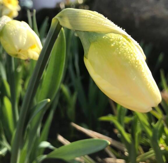 ペンション Uroczysko