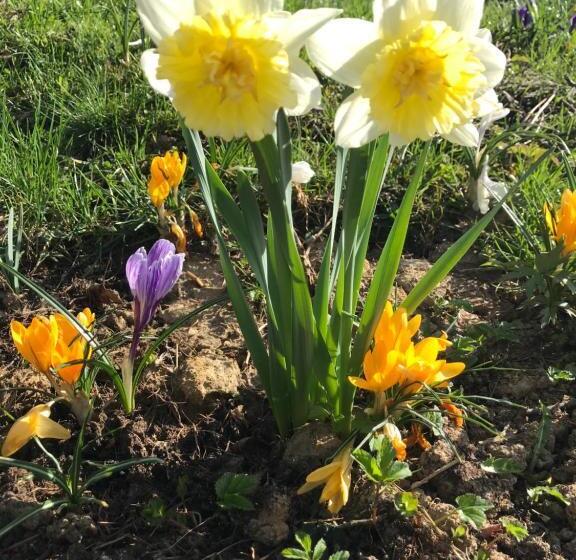 פנסיון Uroczysko