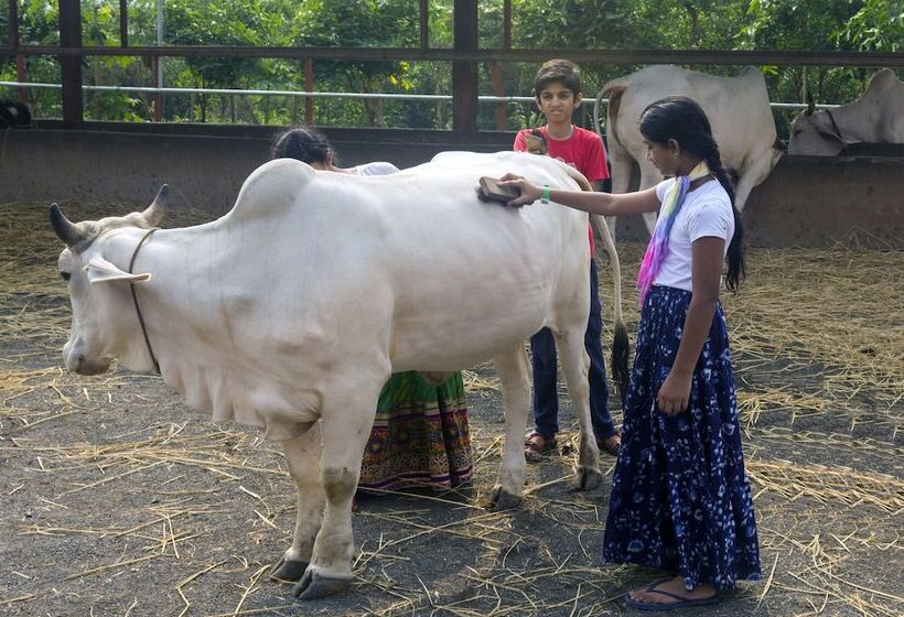 אתר נופש Govardhan Eco Village