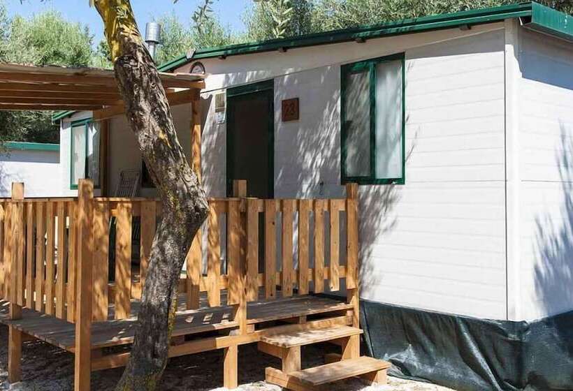 אתר נופש Shadak