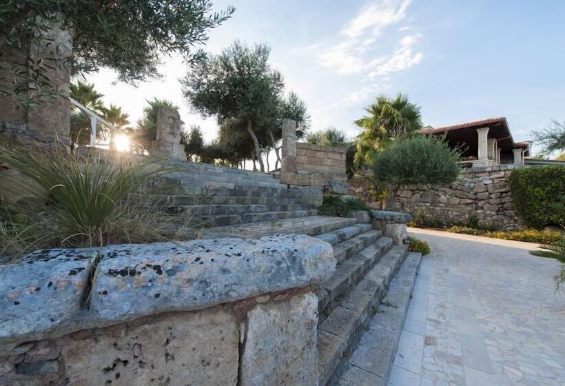 אתר נופש Shadak