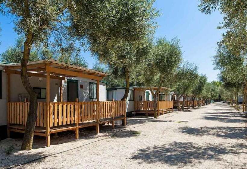 אתר נופש Shadak