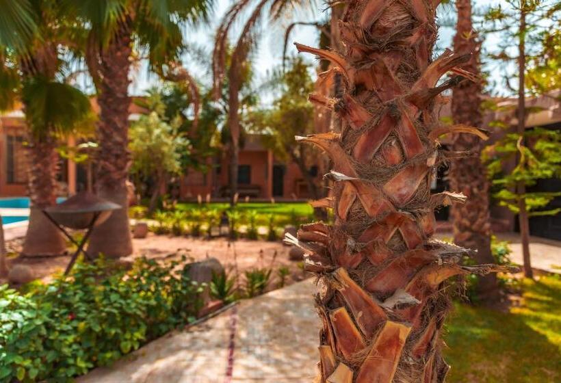 رياض Kasbah Alili