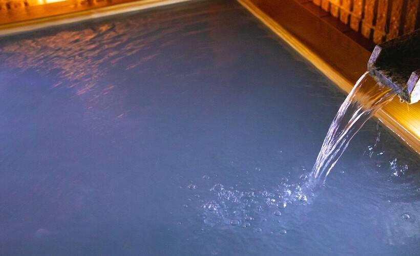 ريوكان Business Hotel Wako