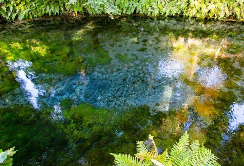 Ryokan Kyukamura Minami Aso