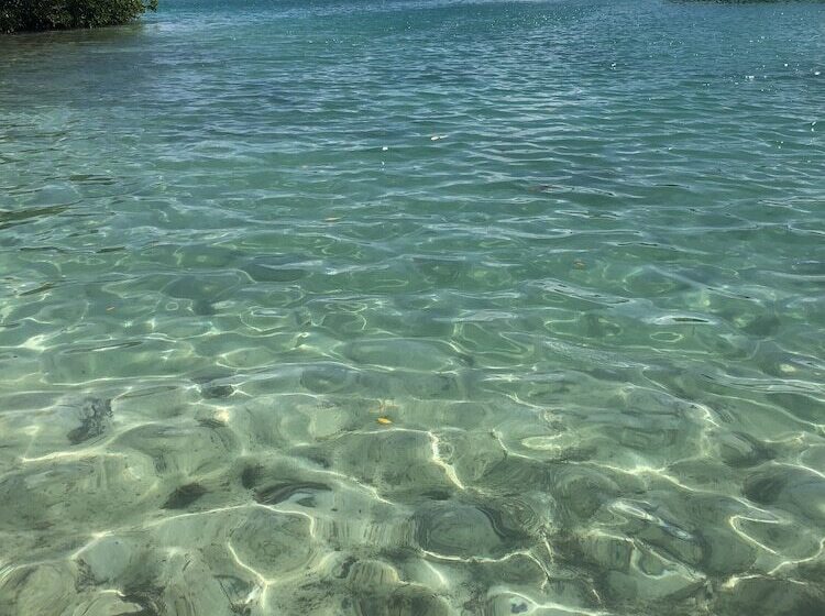 Shaka Caye