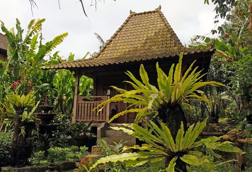 Bed and Breakfast Bali Mountain Retreat