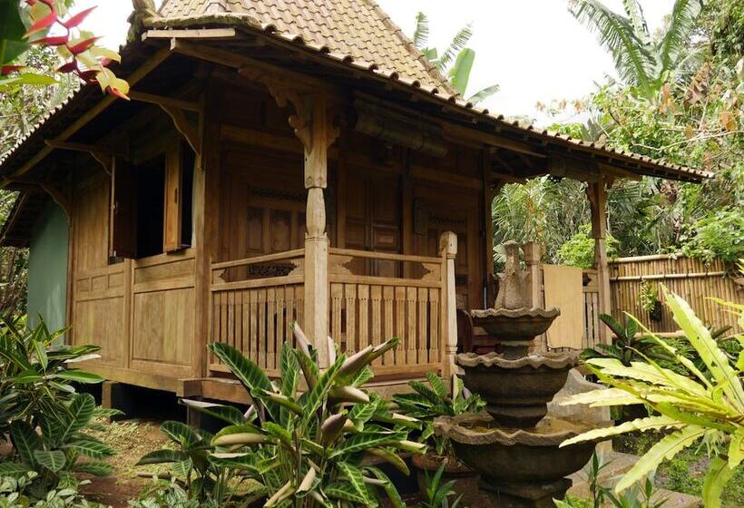 צימר Bali Mountain Retreat