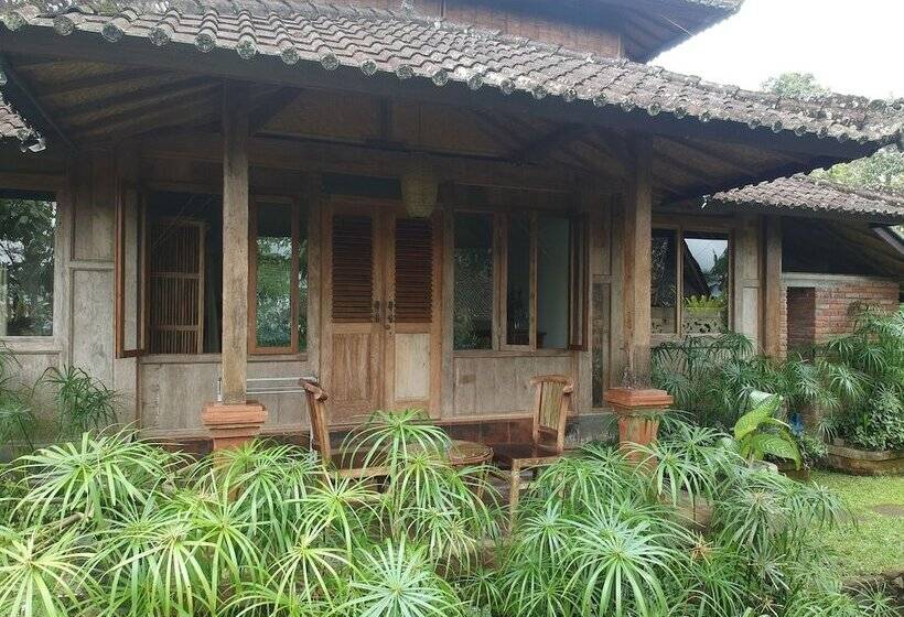 Bed and Breakfast Bali Mountain Retreat