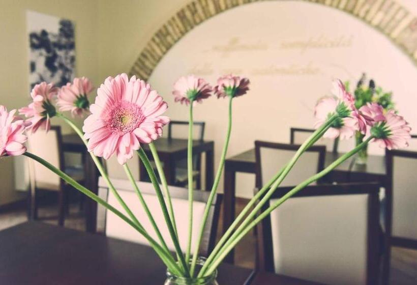 مبيت وإفطار Casale905