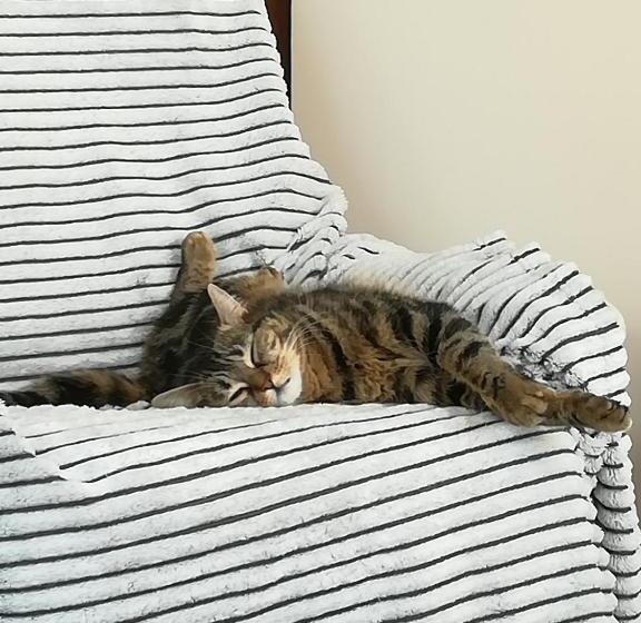 민박 Le Clos Louisiane