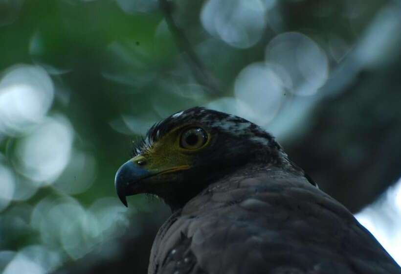 مبيت وإفطار L.l.tourist Inn & Safari Jeeps