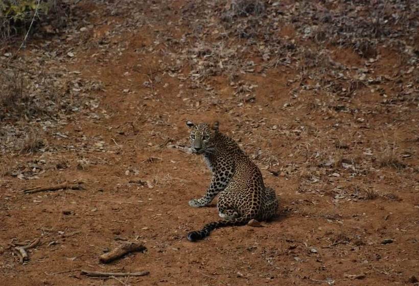 مبيت وإفطار L.l.tourist Inn & Safari Jeeps