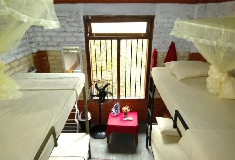 ベッドアンドブレックファースト Reef Pasikudah