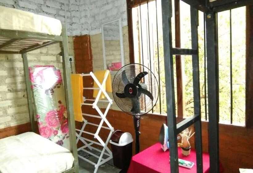 ベッドアンドブレックファースト Reef Pasikudah