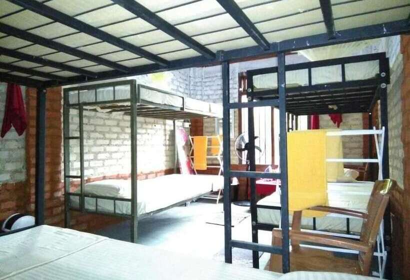 ベッドアンドブレックファースト Reef Pasikudah