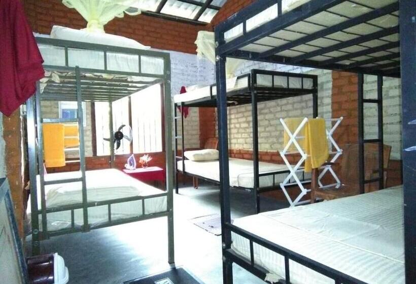 ベッドアンドブレックファースト Reef Pasikudah