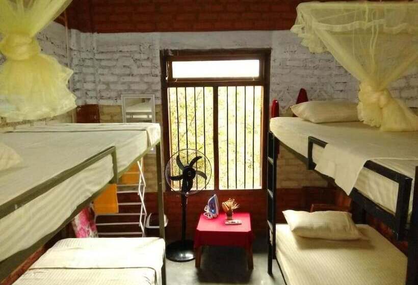 ベッドアンドブレックファースト Reef Pasikudah