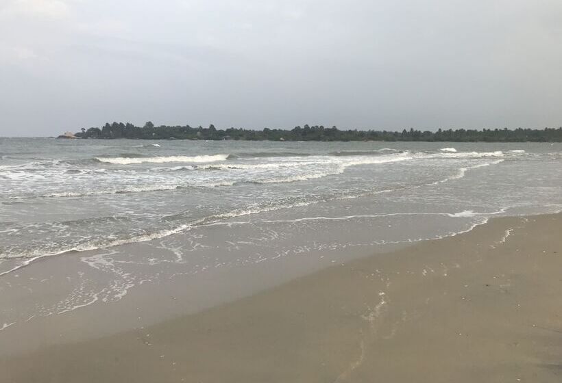 ベッドアンドブレックファースト Reef Pasikudah