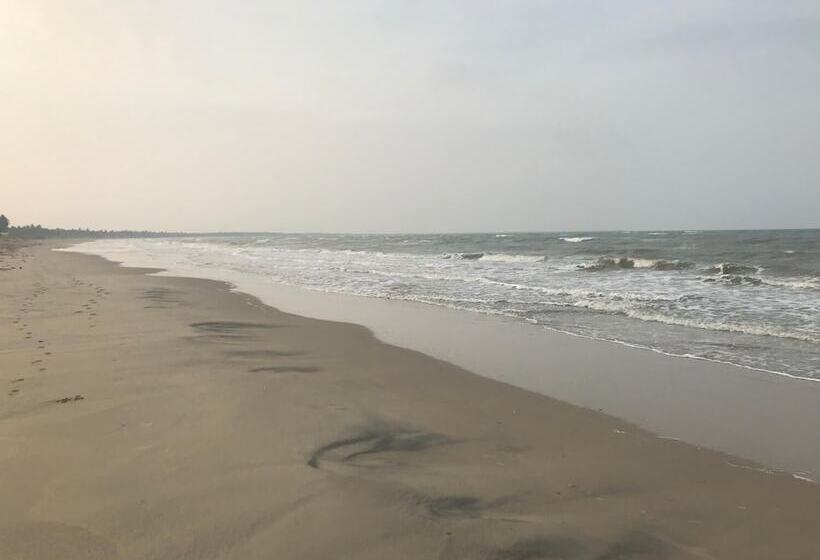 ベッドアンドブレックファースト Reef Pasikudah