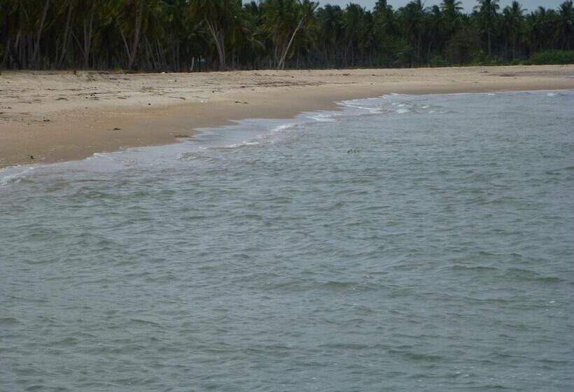 ベッドアンドブレックファースト Reef Pasikudah