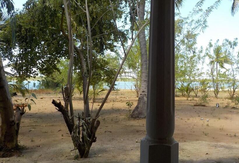 ベッドアンドブレックファースト Reef Pasikudah