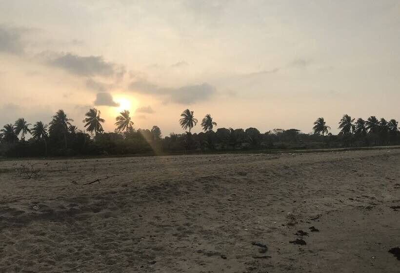 ベッドアンドブレックファースト Reef Pasikudah