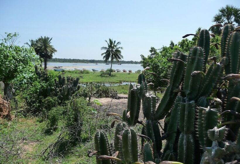 ベッドアンドブレックファースト Reef Pasikudah