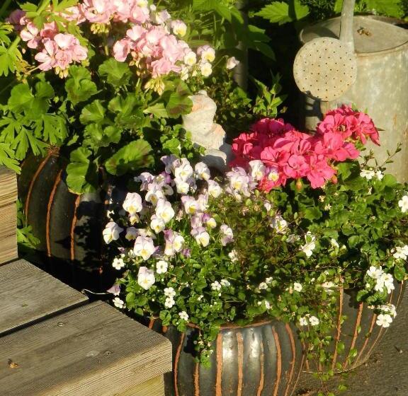 민박 Sköna Rum Fryksta