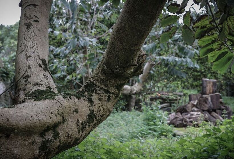 Casa Do Pico Da Pedra