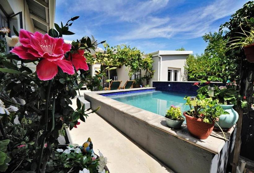 Daisy Darling Bed & Breakfast