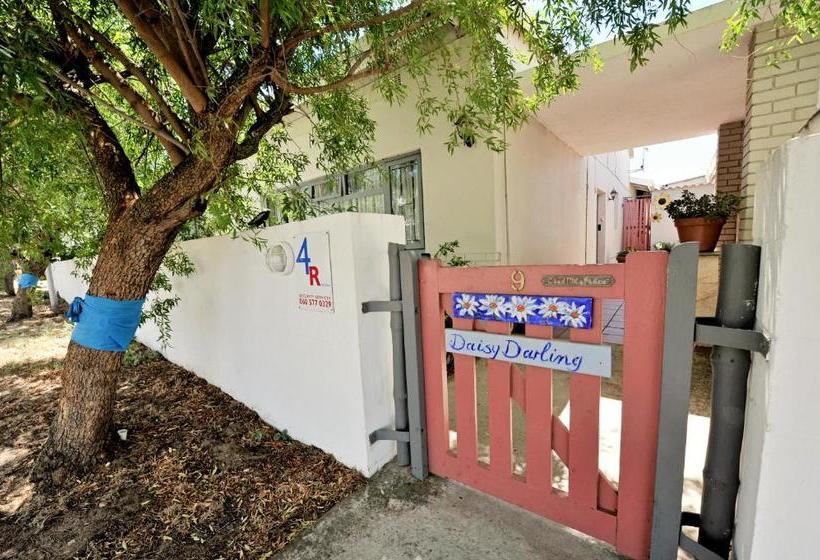 Daisy Darling Bed & Breakfast