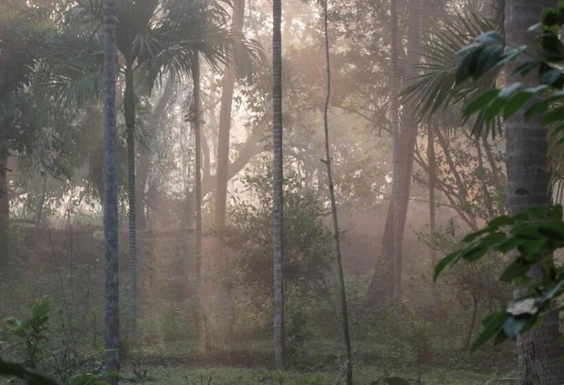 Dudhsagar Plantation