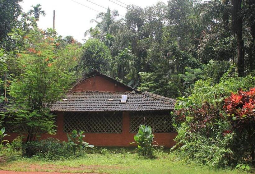 Dudhsagar Plantation